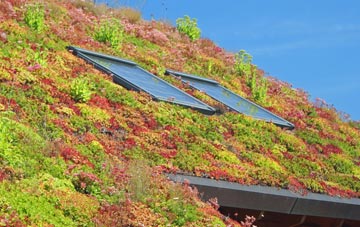 Coln St Aldwyns living roof systems
