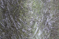 Coln St Aldwyns fibreglass roof work